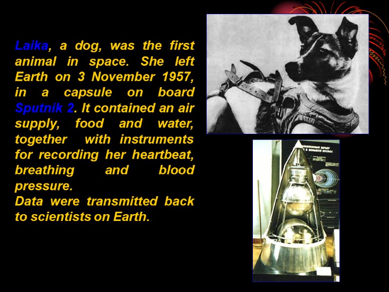 Laika, a dog, was the first animal in space. She left Earth on 3